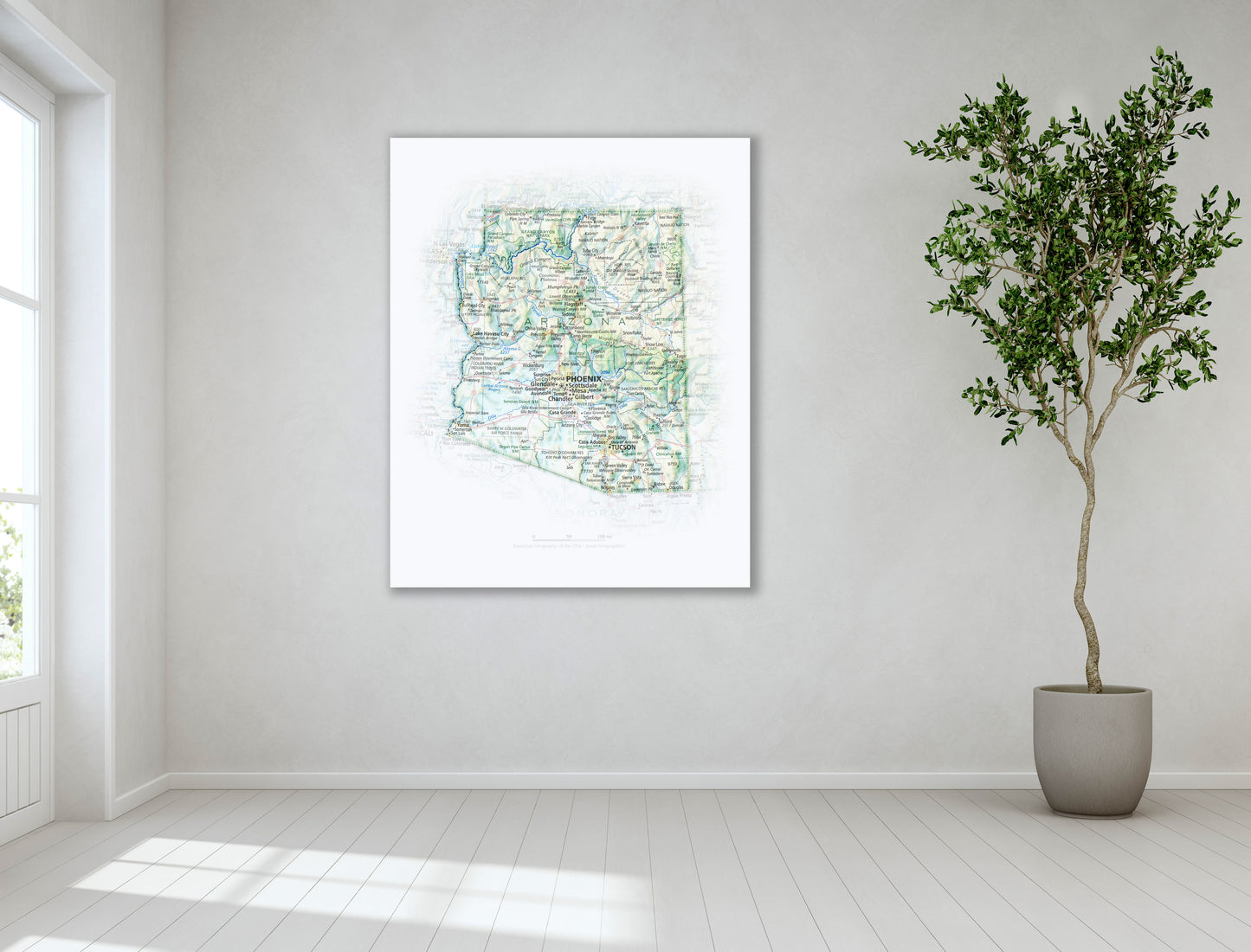 Portrait of Arizona