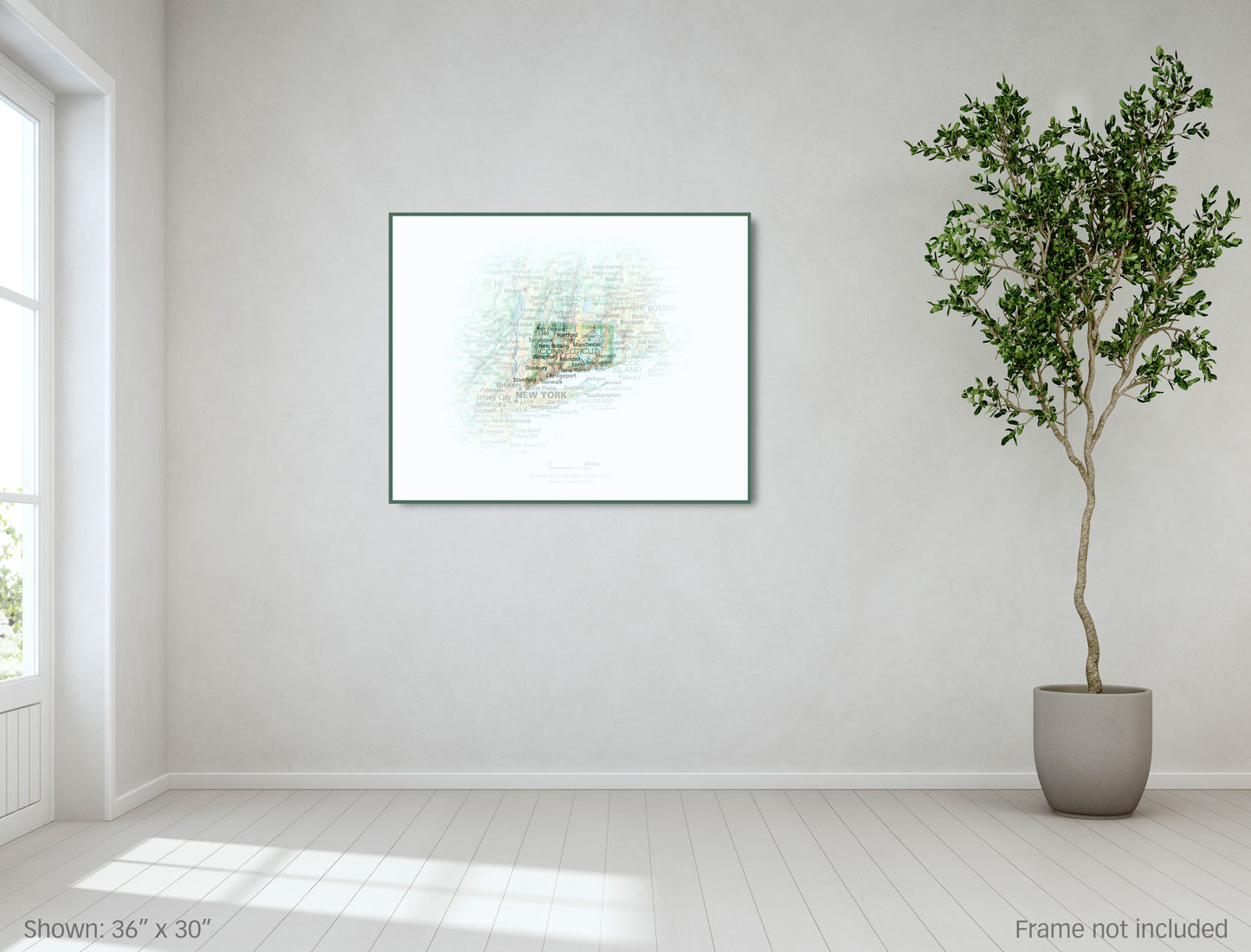 Portrait of Connecticut