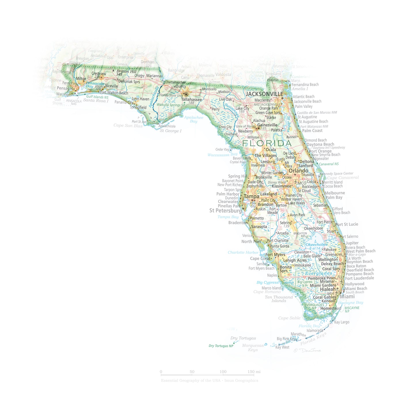 Portrait of Florida