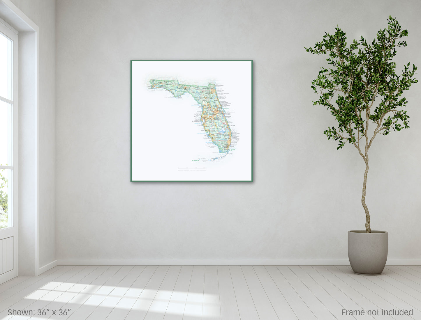 Portrait of Florida