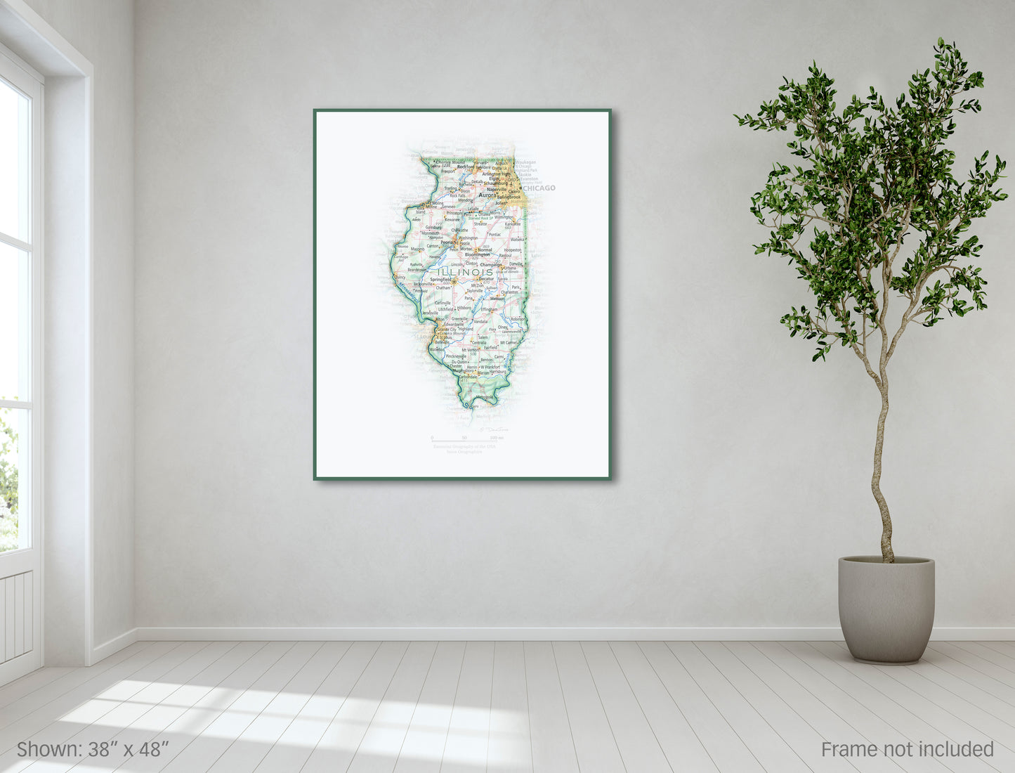 Portrait of Illinois