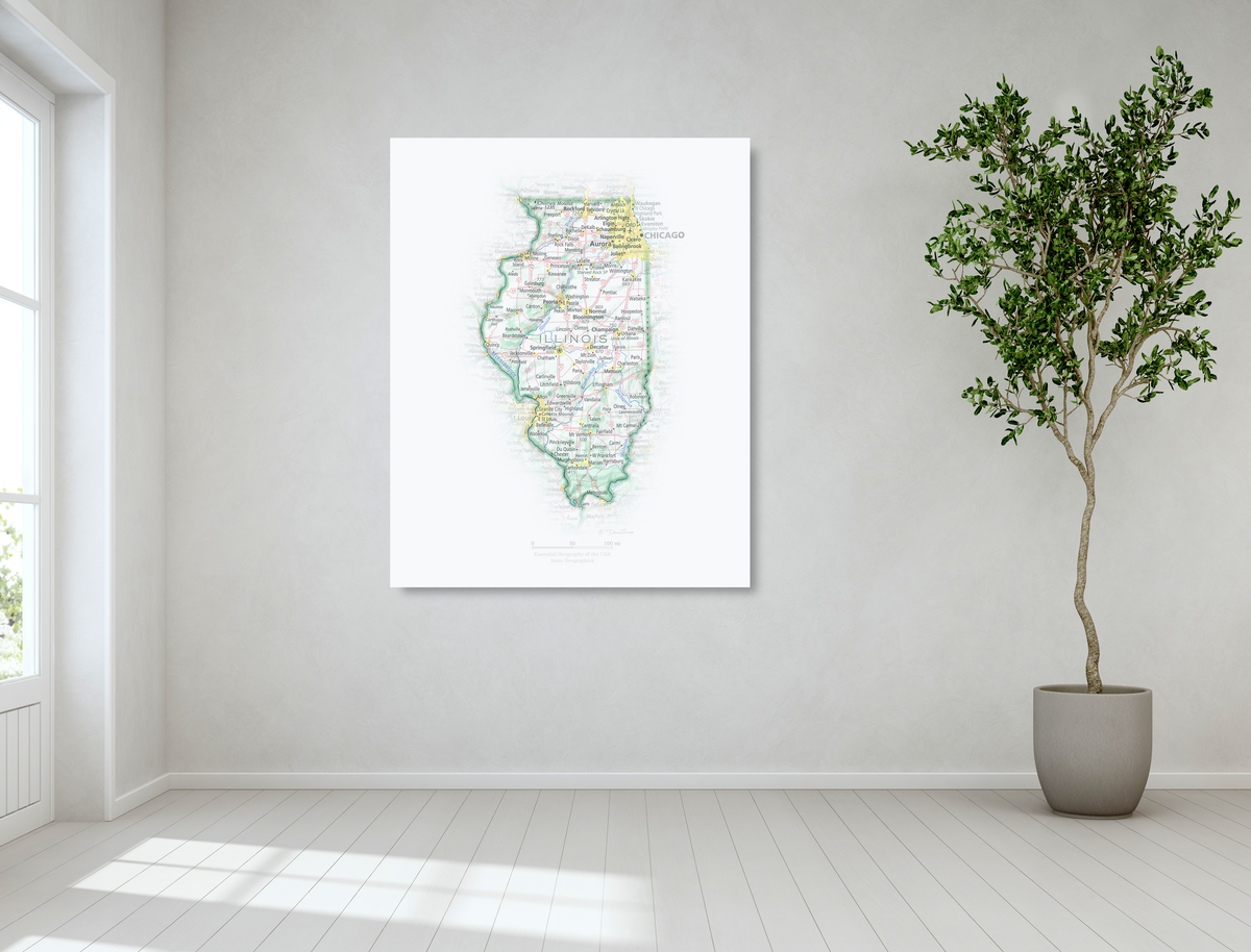 Geographic Portrait of Illinois