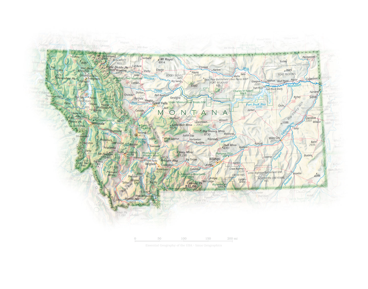 Portrait of Montana