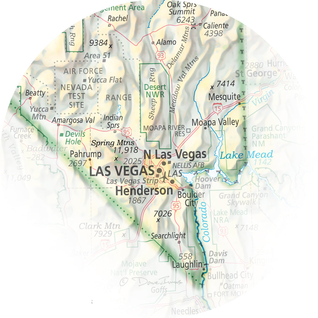 Portrait of Nevada