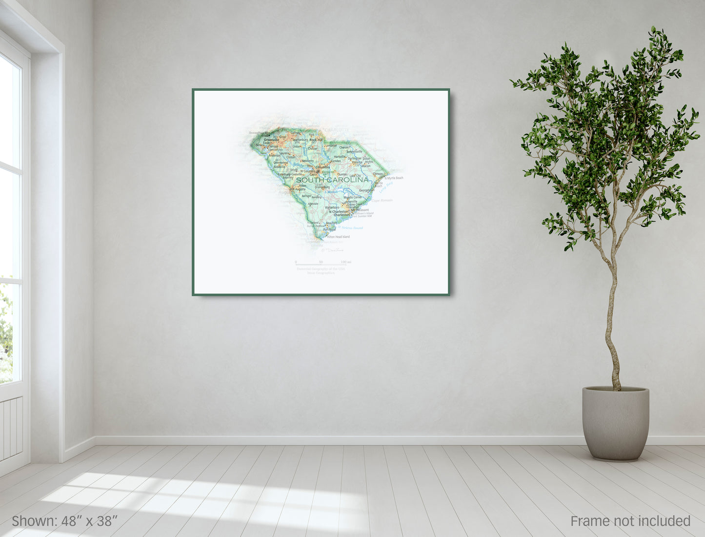 Portrait of South Carolina