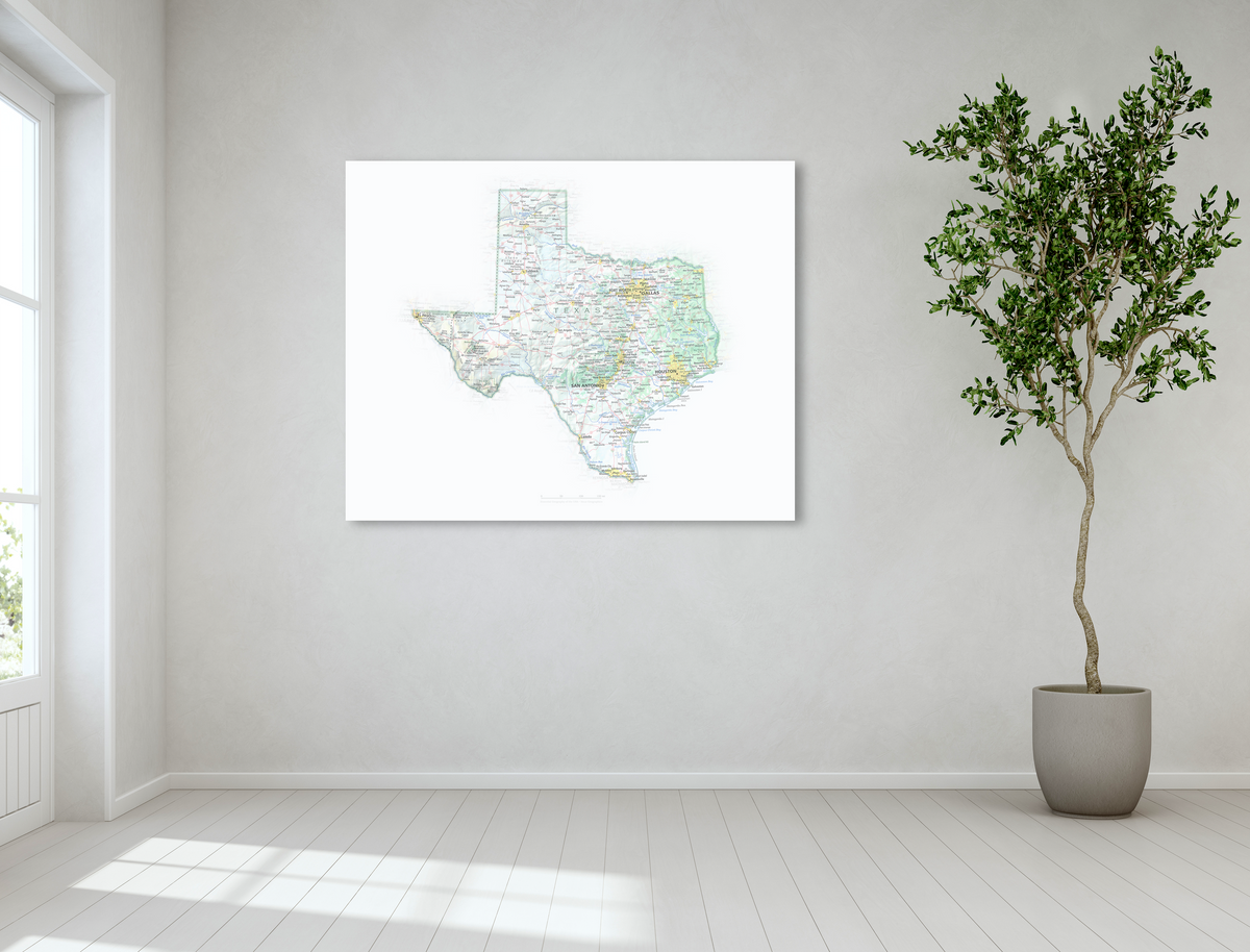 Texas - Geographic Illustration