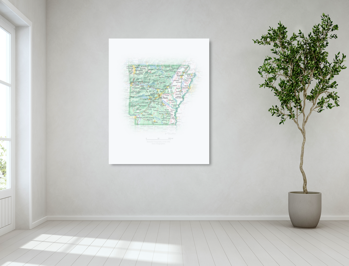 Geographic Portrait of Arkansas