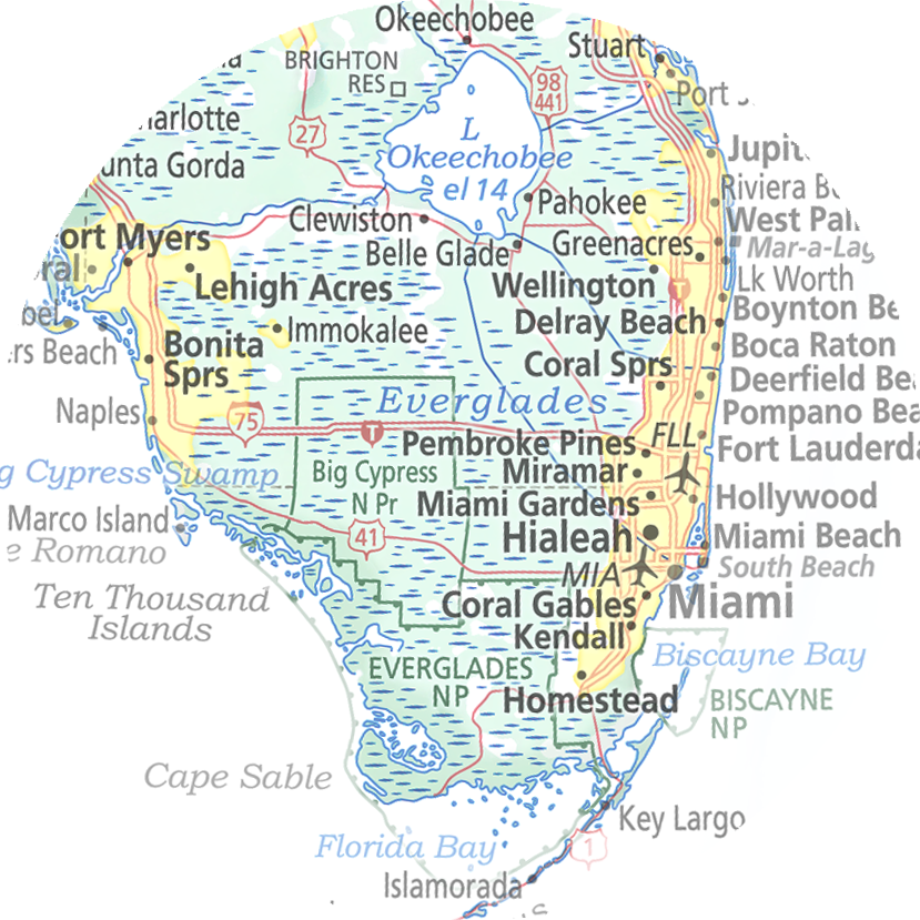 Florida - Geographic Illustration