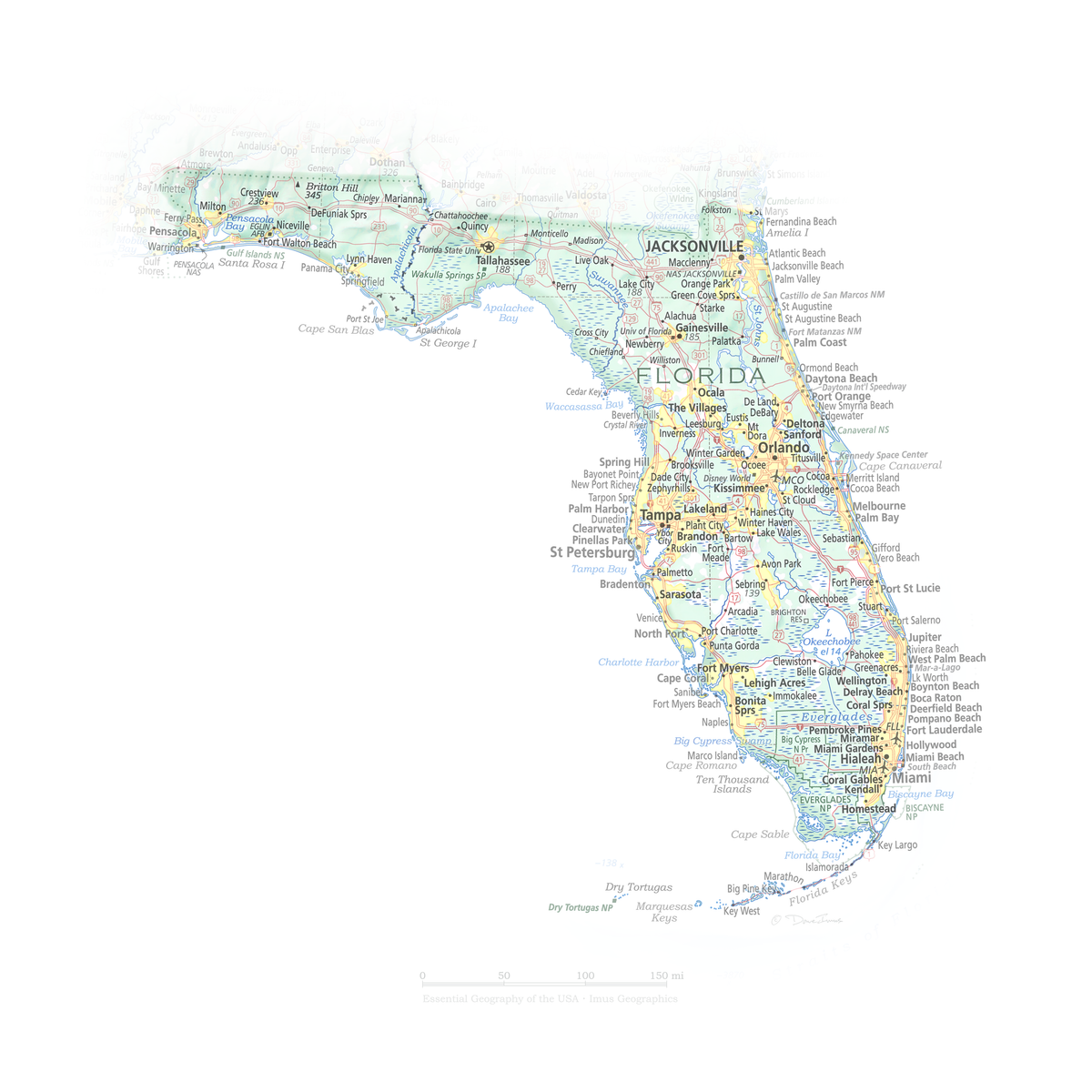 Florida - Geographic Illustration