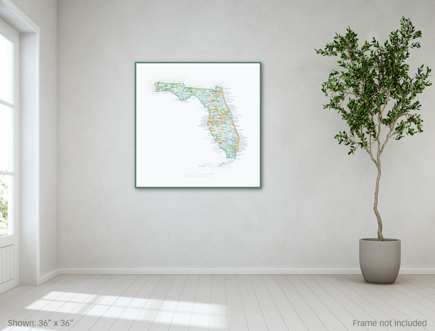 Portrait of Florida