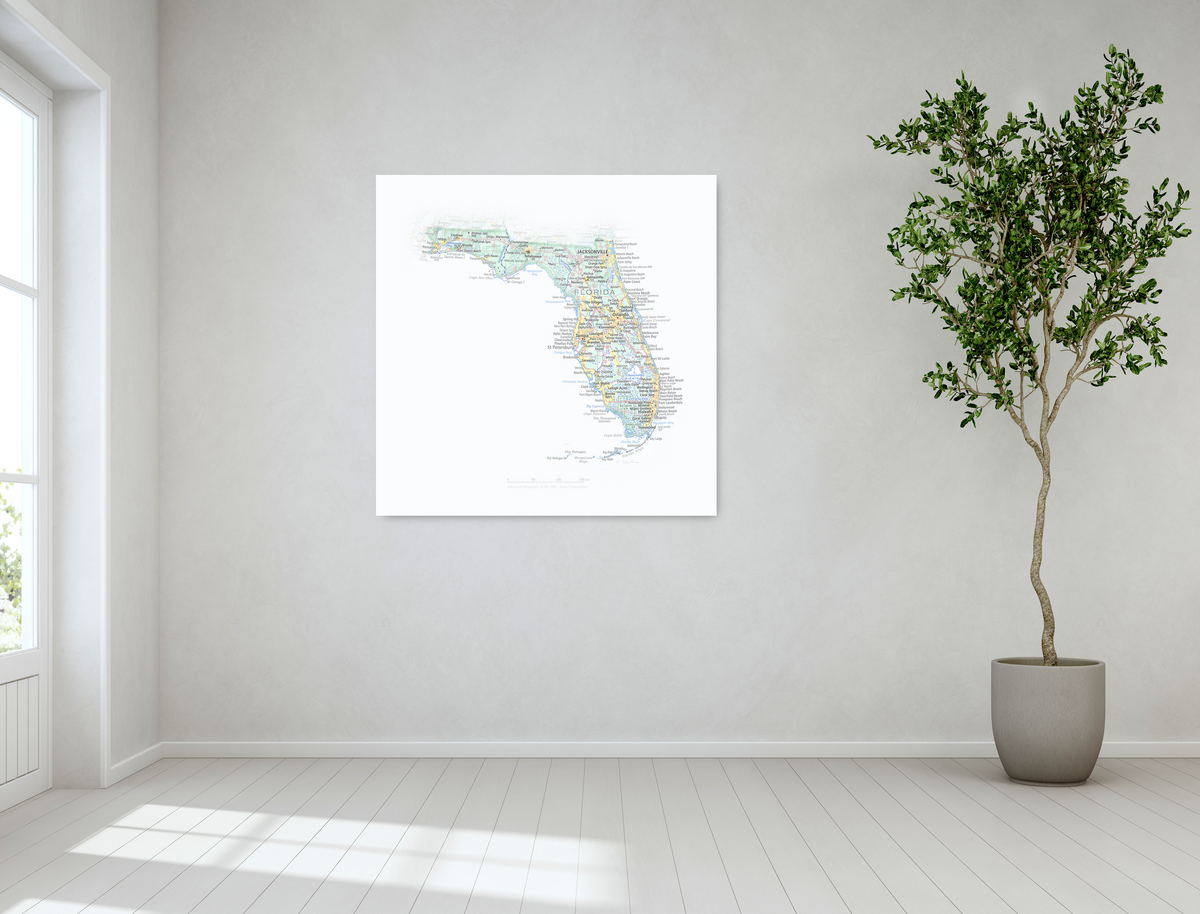Florida - Geographic Illustration