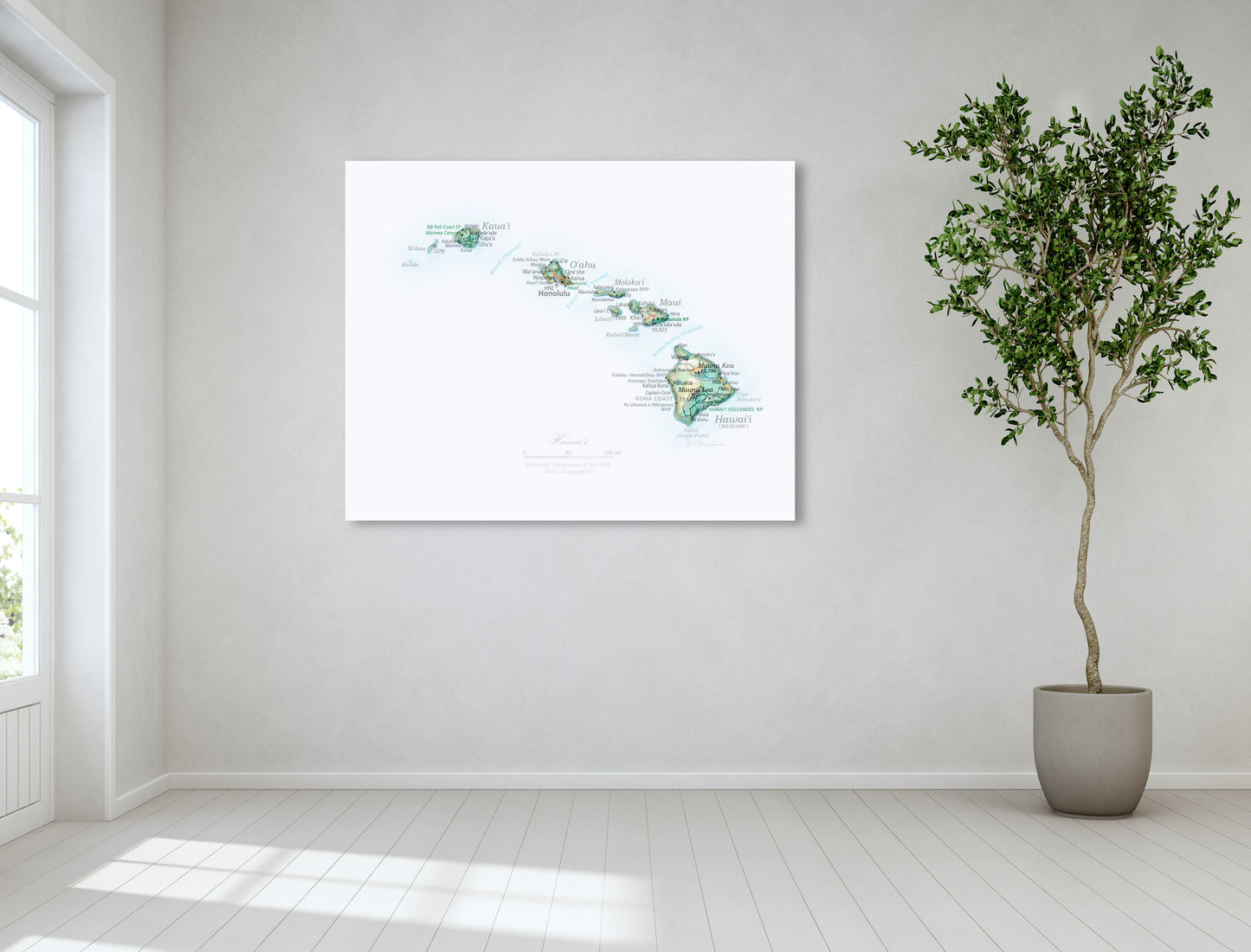 Portrait of Hawai'i