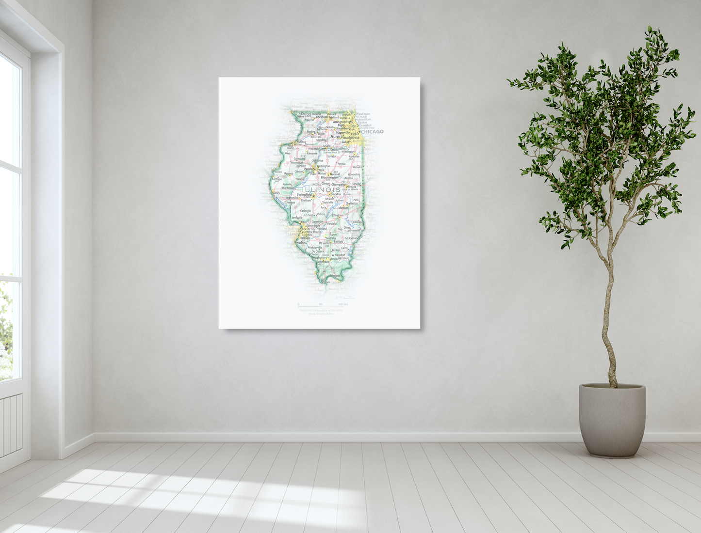 Geographic Portrait of Illinois