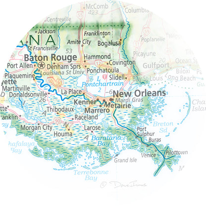 Portrait of Louisiana