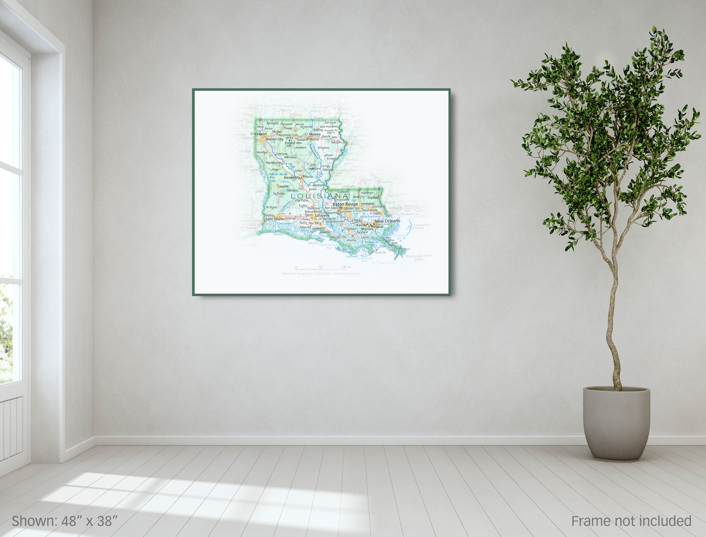 Portrait of Louisiana
