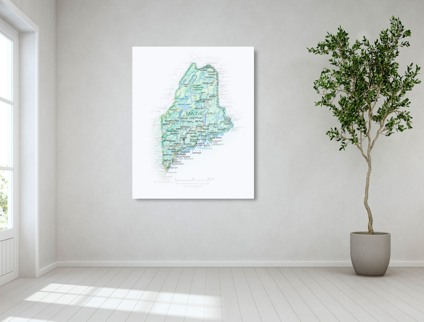 Portrait of Maine