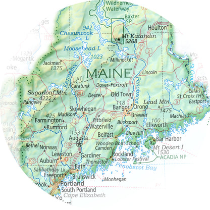 Portrait of Maine