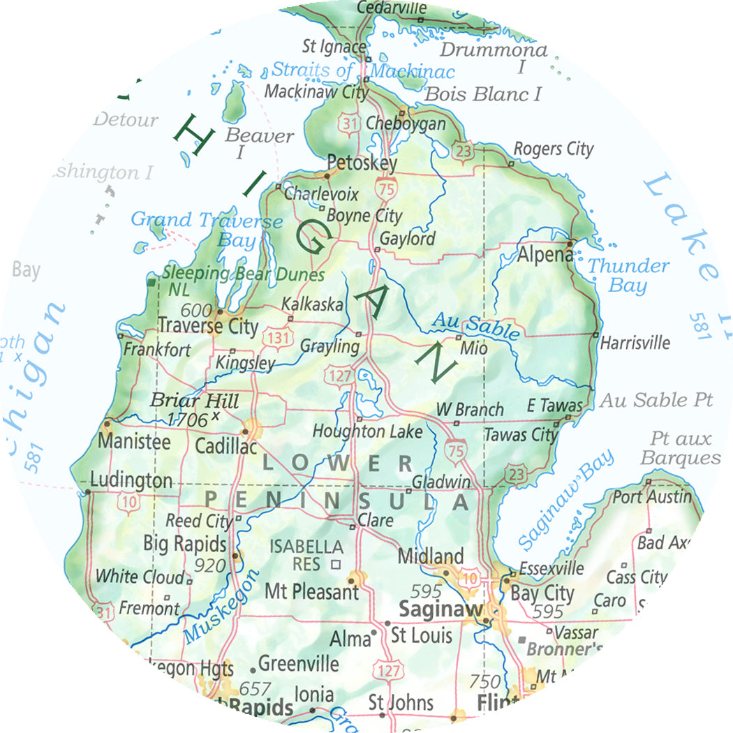 Portrait of Michigan