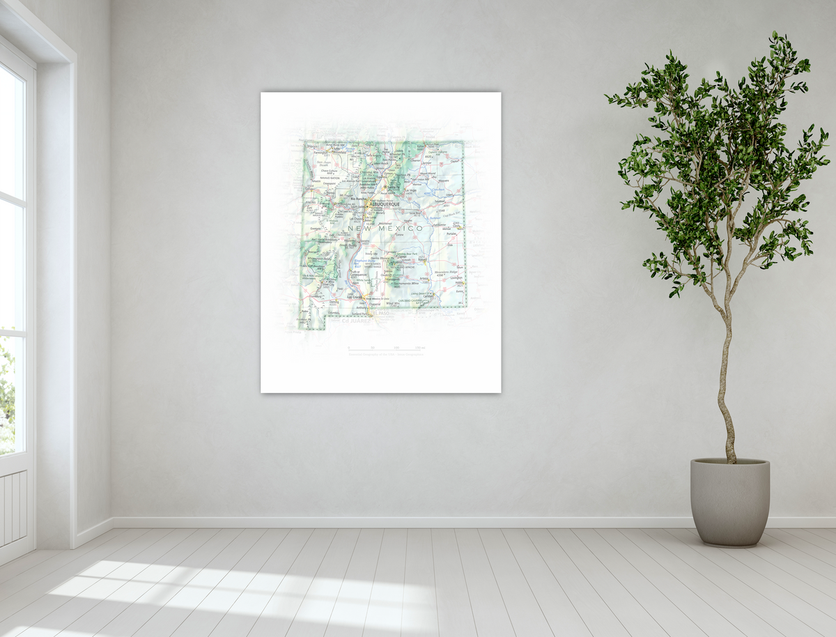 New Mexico - Geographic Illustration