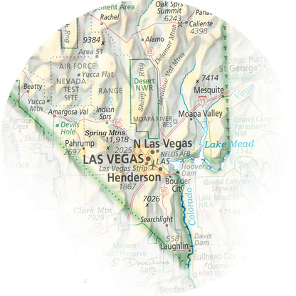 Portrait of Nevada