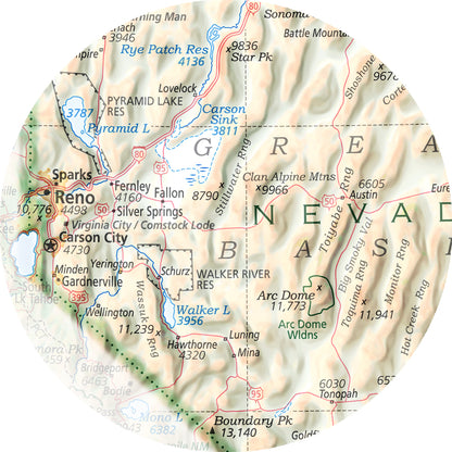 Portrait of Nevada