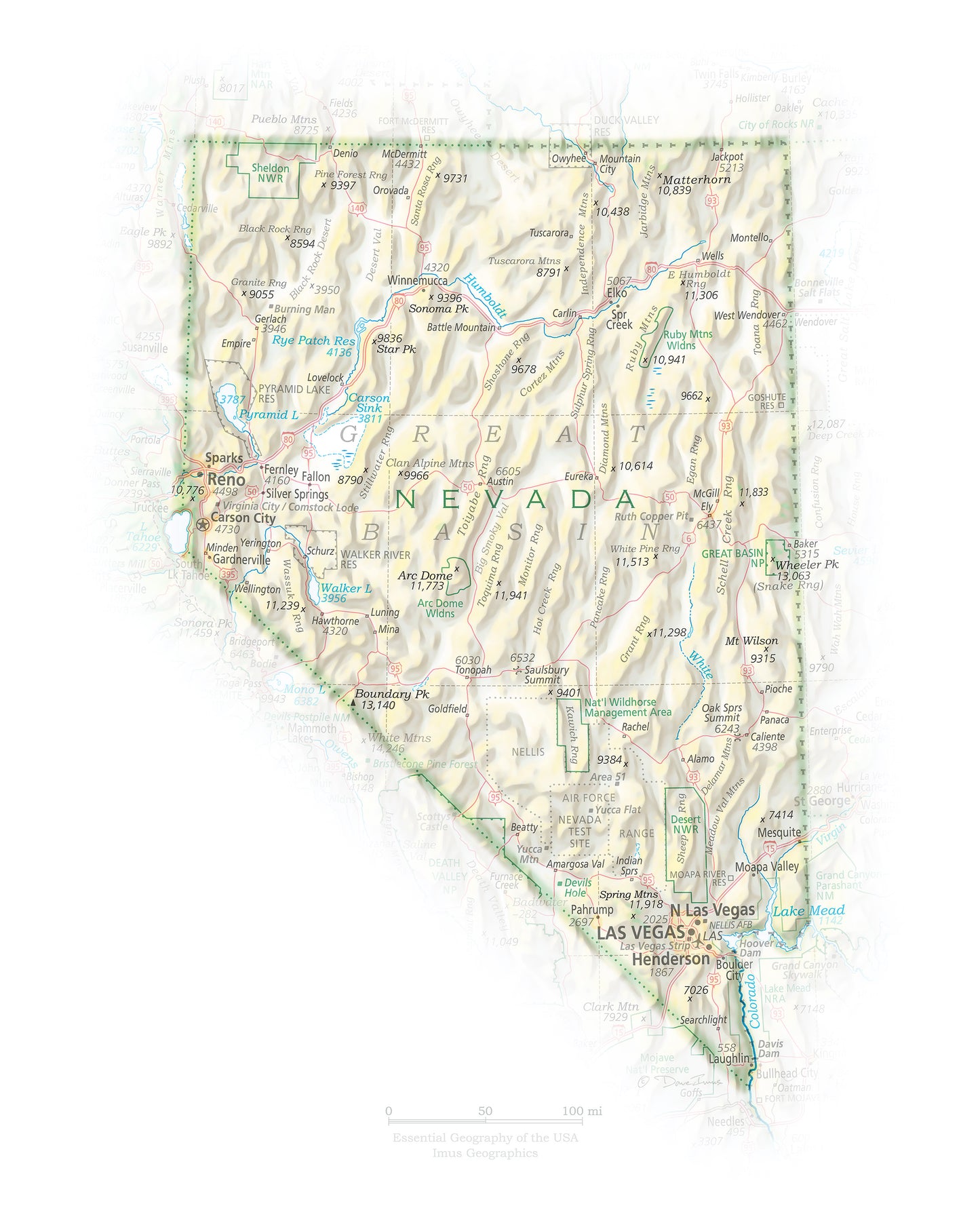 Portrait of Nevada