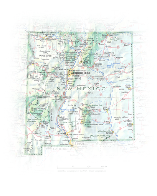 New Mexico - Geographic Illustration