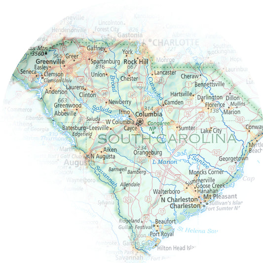 Portrait of South Carolina