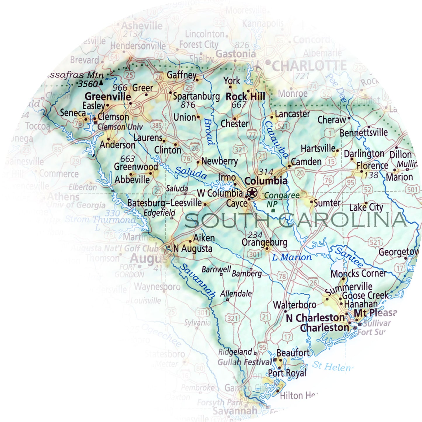 Portrait of South Carolina