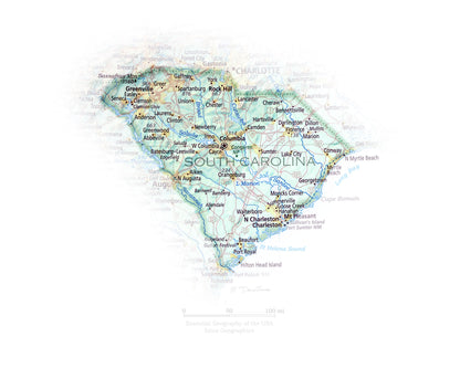 Portrait of South Carolina