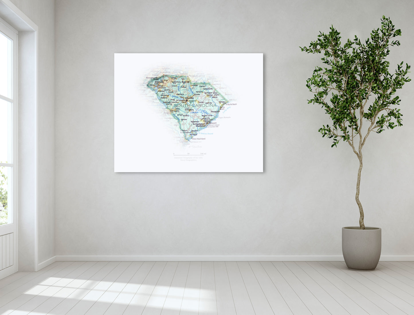 Portrait of South Carolina