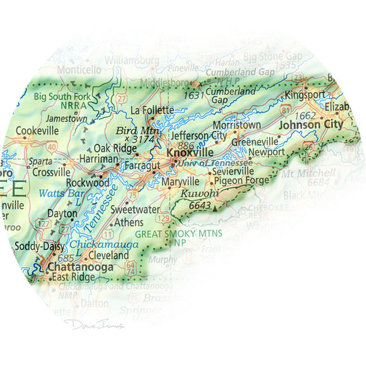 Portrait of Tennessee