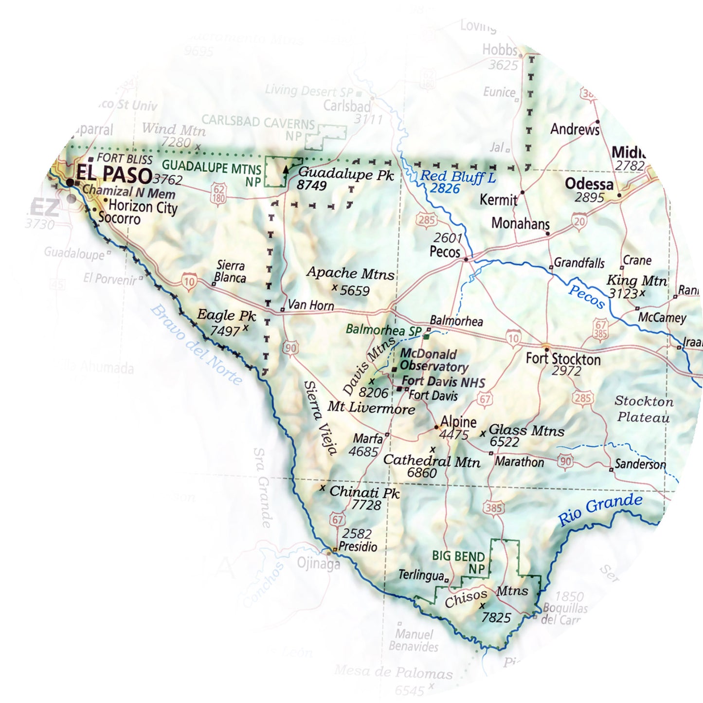 Portrait of Texas