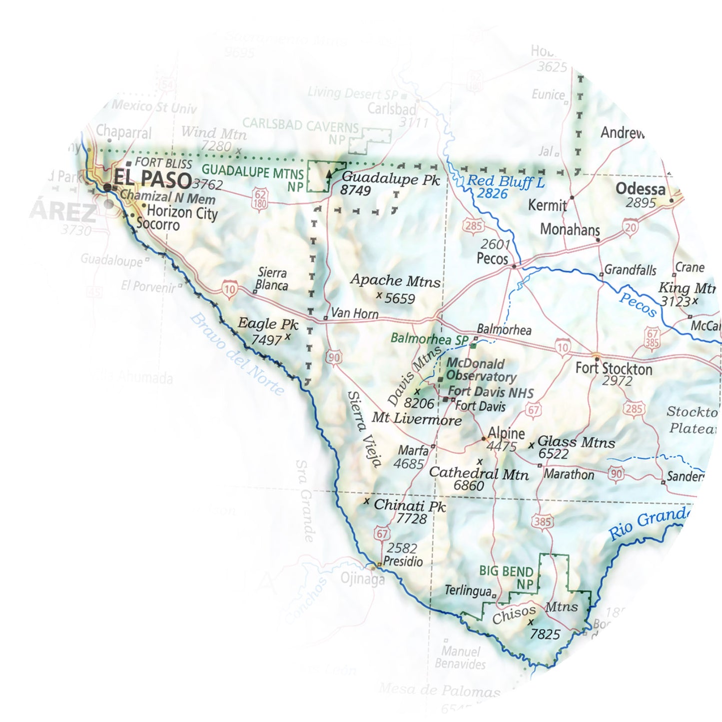 Portrait of Texas