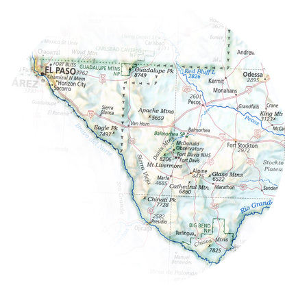 Portrait of Texas